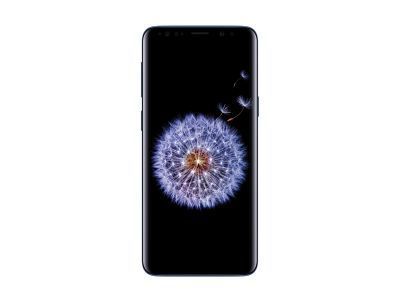 Samsung  Galaxy S9 Plus Rear Glass (G965)