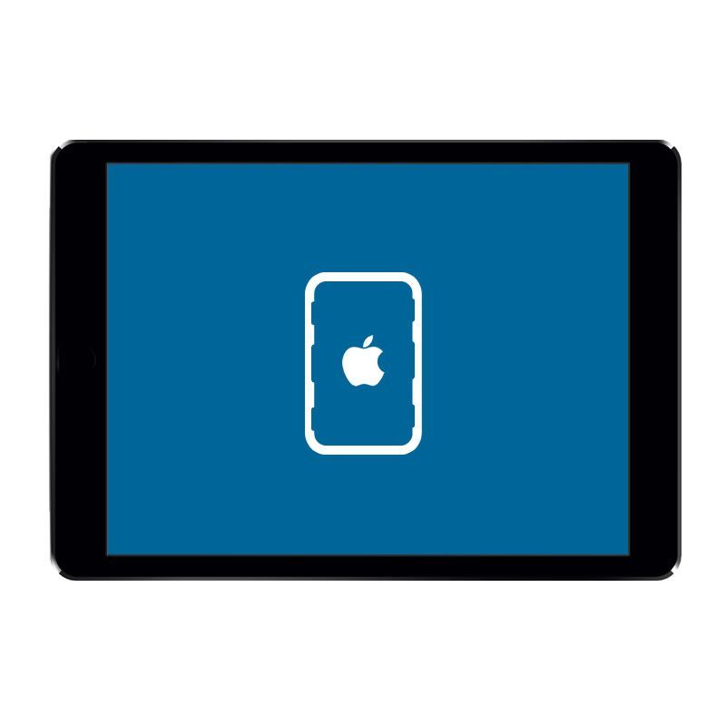 iPad 1 Back Housing / Case