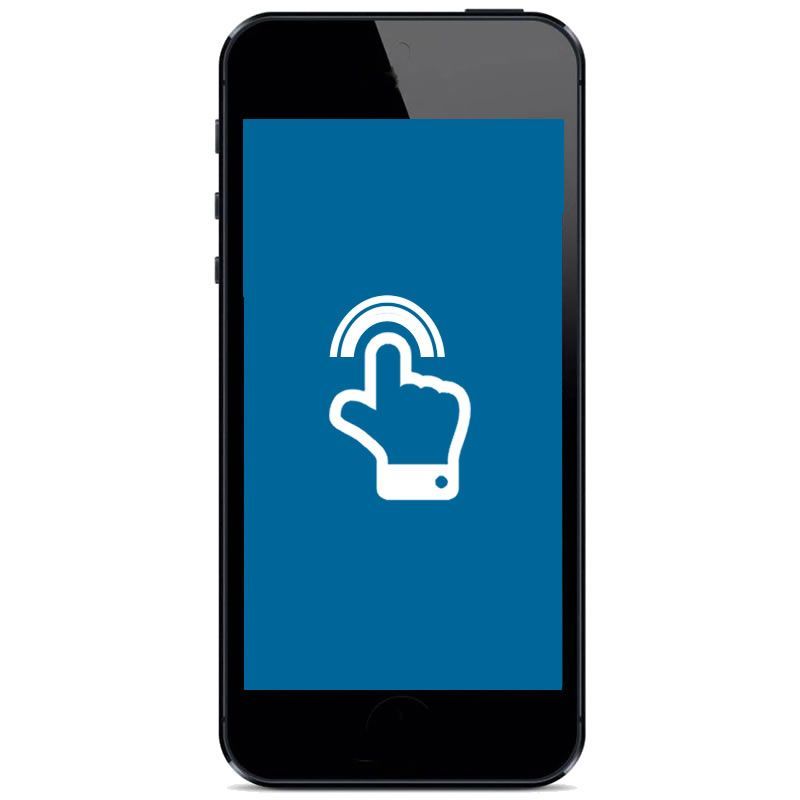 BlackBerry Storm 2 Display 