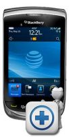 BlackBerry Torch Glass Touch Screen & LCD (9800)