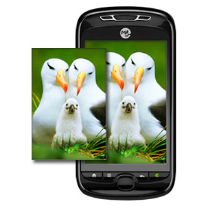 HTC MyTouch Slide 3G LCD