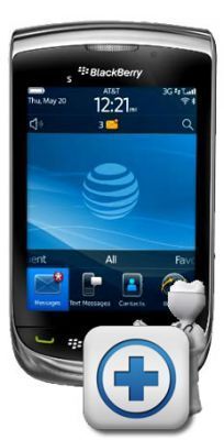 Blackberry Torch Charge Port (9800)